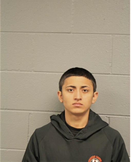 LUIS VAZQUEZ, Cook County, Illinois