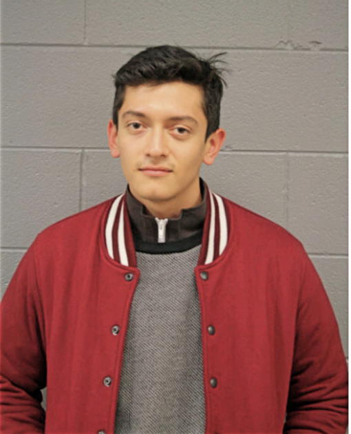 ALFONSO A VILLA-ROCHLIN, Cook County, Illinois