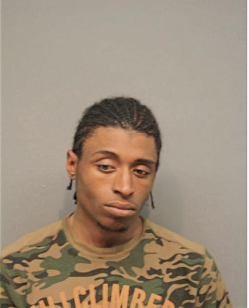MARCUS L WILLIS, Cook County, Illinois