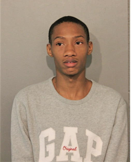 TAURUS D YOUNG, Cook County, Illinois