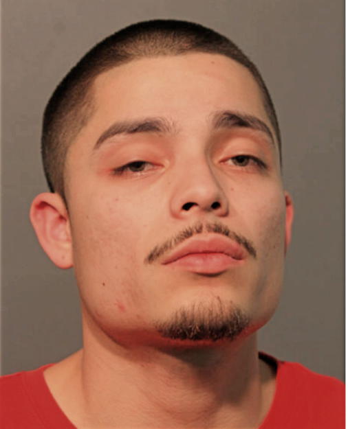 ALFREDO BECKER, Cook County, Illinois