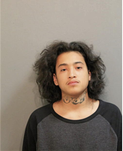 ALFONSO J CALDERON, Cook County, Illinois