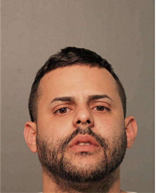FERNANDO I CANINO, Cook County, Illinois