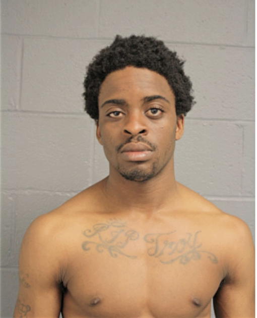JAMYRIS L CANNON, Cook County, Illinois