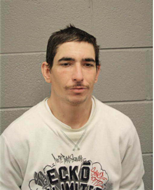 SHAWN A CLARK, Cook County, Illinois