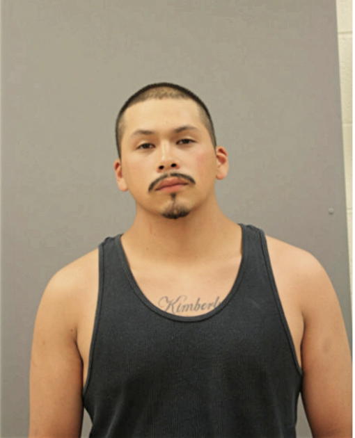 LEONARDO DELGADO, Cook County, Illinois