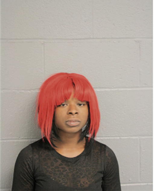 ASHLEY N DENT, Cook County, Illinois
