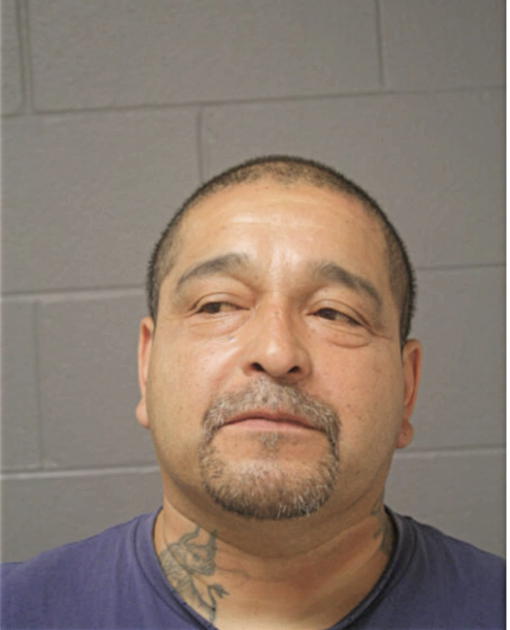 ALFREDO J GONZALEZ, Cook County, Illinois