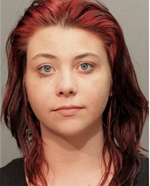 EMILY C HALM, Cook County, Illinois