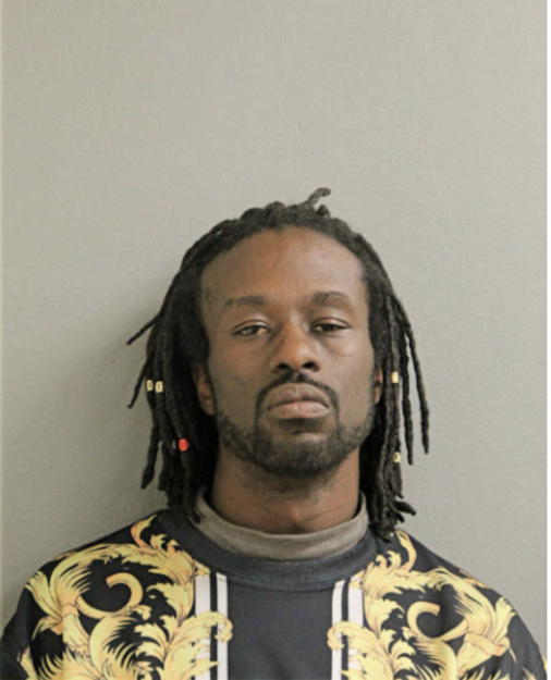 TANSANY JOHNSON, Cook County, Illinois