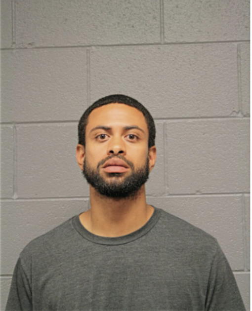 WILLIAM JR JONES, Cook County, Illinois