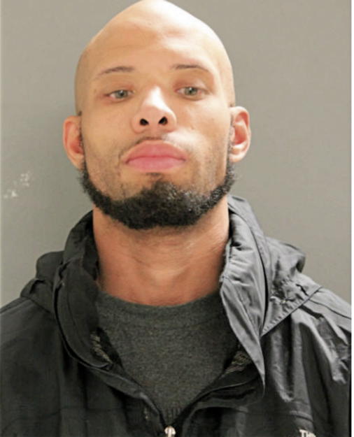 MICHAEL A KING, Cook County, Illinois