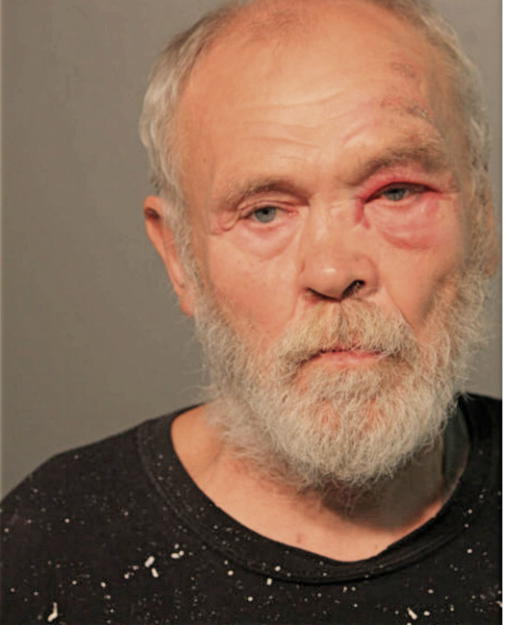 WOLFGANG KLUGE, Cook County, Illinois
