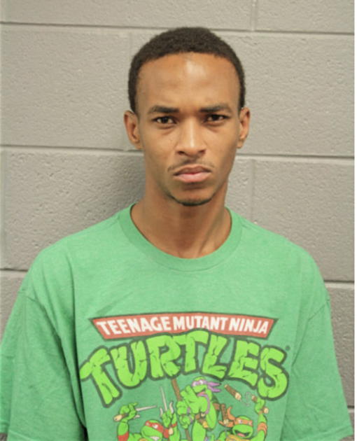 CLIFFORD S LEWIS, Cook County, Illinois