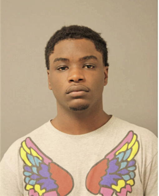 SAMUEL L LEWIS, Cook County, Illinois
