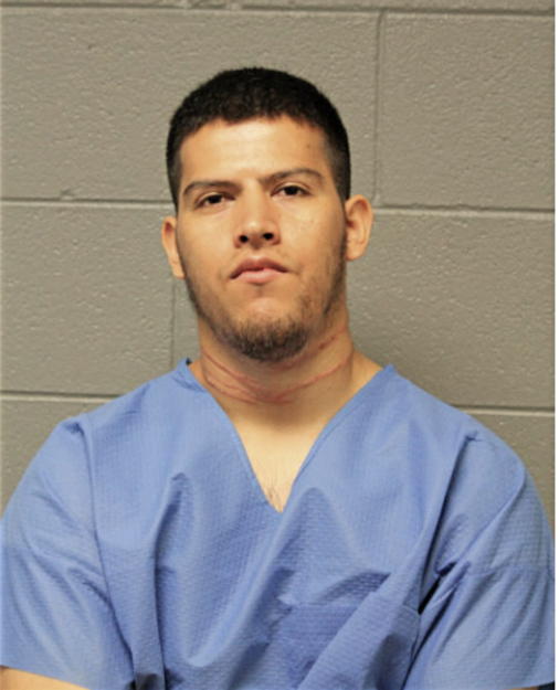 RAMON H MARIN, Cook County, Illinois