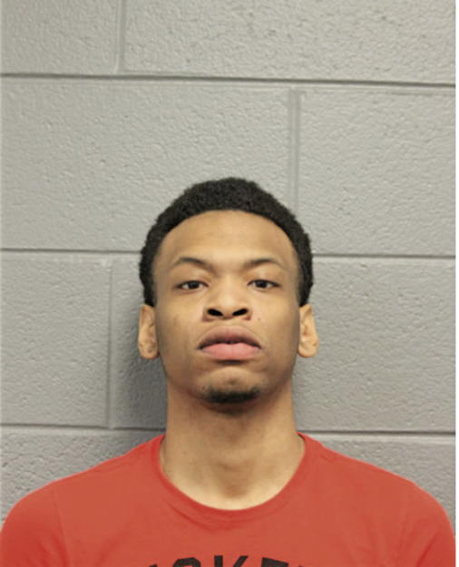MICHAEL M MATTHEWS, Cook County, Illinois
