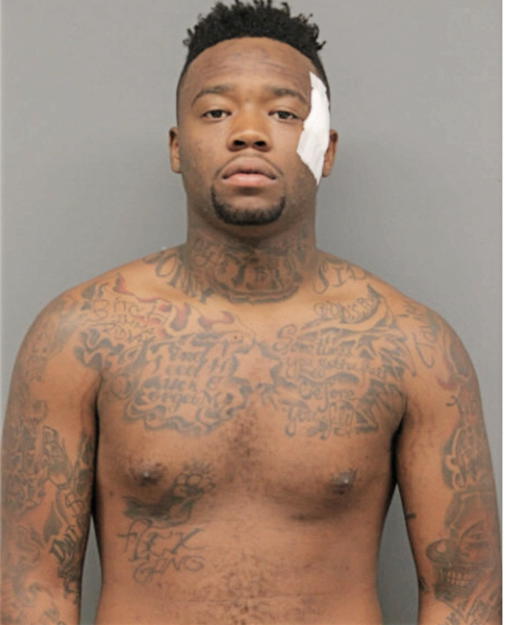 PRAVION L MITCHELL, Cook County, Illinois