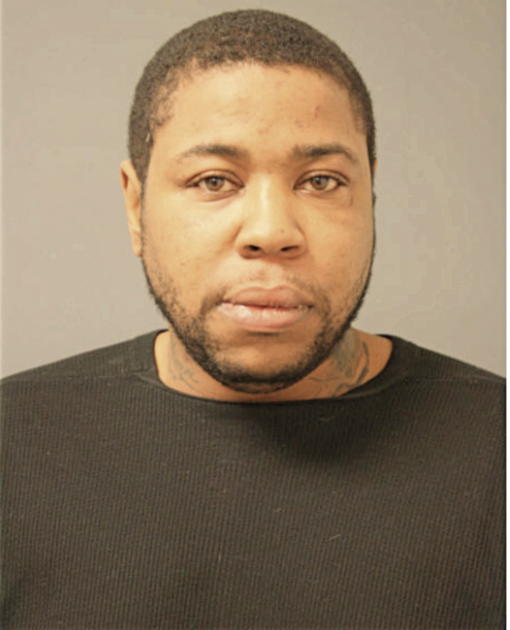 PATRICK J PALMER, Cook County, Illinois