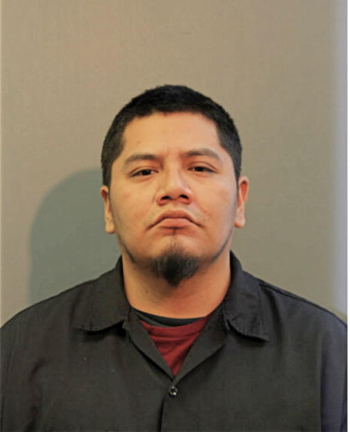ALFONSO PATINO-GOMEZ, Cook County, Illinois