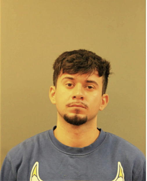ALEXIS J SALAS, Cook County, Illinois
