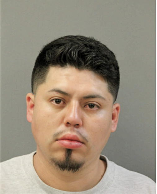 IVAN SOTELO, Cook County, Illinois