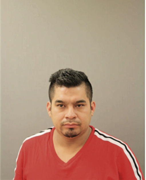 OMAR SOTELO, Cook County, Illinois
