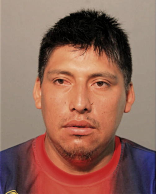 LUIS TACURI, Cook County, Illinois