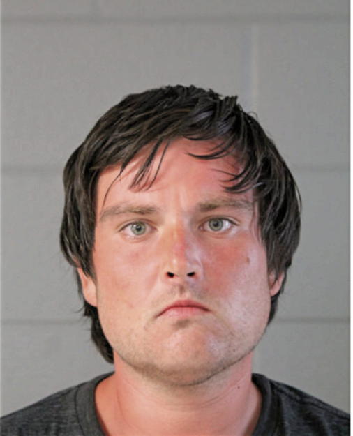 PAVEL ALBRECHT, Cook County, Illinois