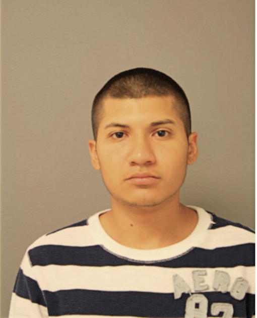 DAVID C ARIAS, Cook County, Illinois