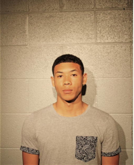 ANTHONY C BLALARK, Cook County, Illinois