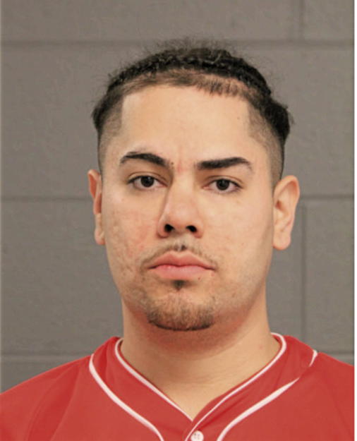 EDGAR A BRISENO, Cook County, Illinois