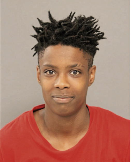 APRILJAYNA T BRYANT, Cook County, Illinois
