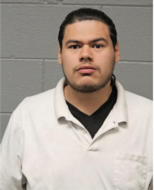 MIGUEL J CASTILLO, Cook County, Illinois