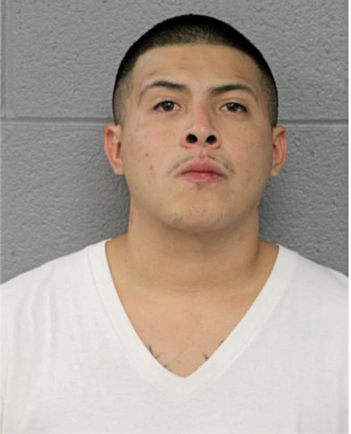 RUBEN CASTRO, Cook County, Illinois