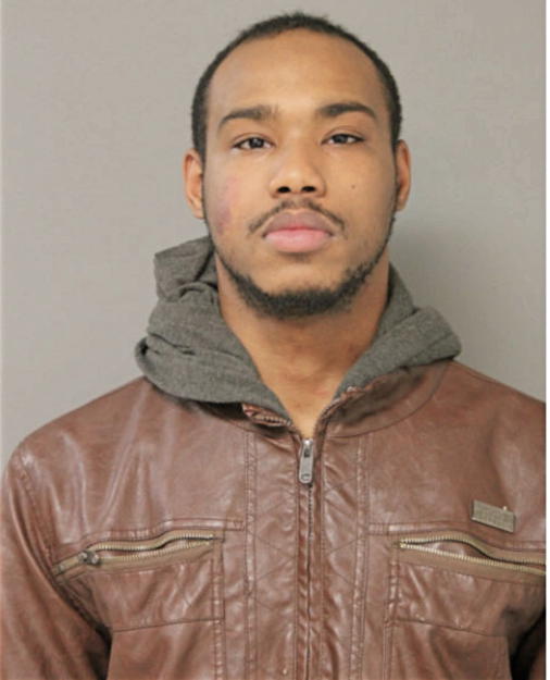 VICTOR L DAVIS, Cook County, Illinois