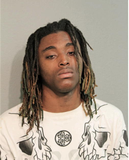 NATHAN L EMERSON, Cook County, Illinois