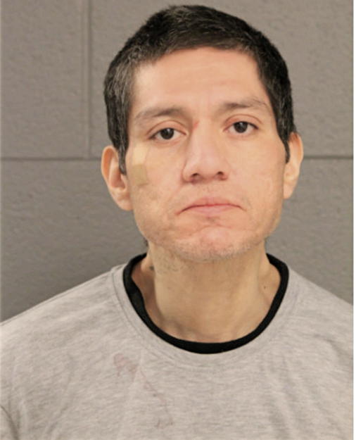 HENRY GARZA, Cook County, Illinois