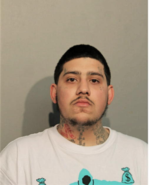 SHAWN ALY GHAZIANI, Cook County, Illinois