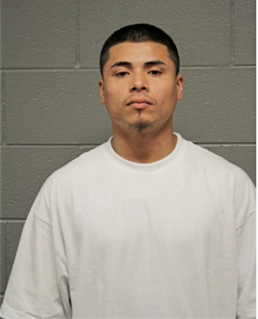 ADAN HERNANDEZ, Cook County, Illinois