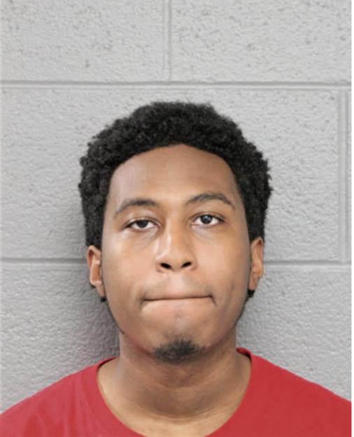 LANCE L HORNE, Cook County, Illinois