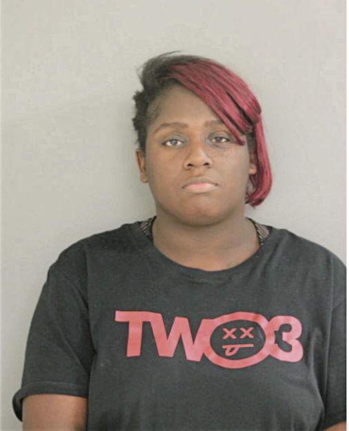 NICOLE S JONES, Cook County, Illinois