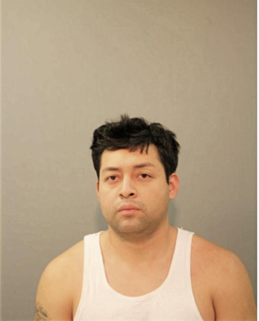 LUIS ALBERTO LUNA, Cook County, Illinois