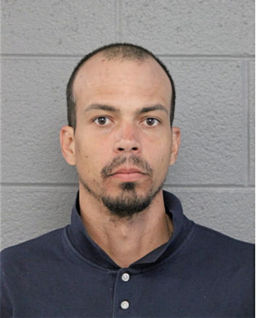 JOELVY MENDOZA, Cook County, Illinois