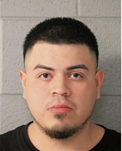 JOSE P NOYOLA, Cook County, Illinois
