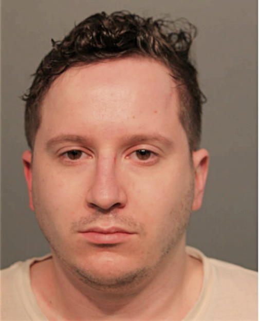 ANDREW P REAUME, Cook County, Illinois