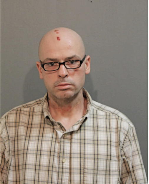 JAMES F STEPANEK, Cook County, Illinois