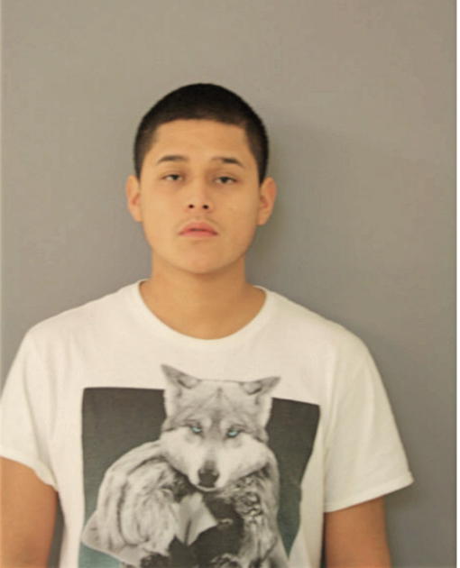 MIGUEL A VALLEJO-LEON, Cook County, Illinois