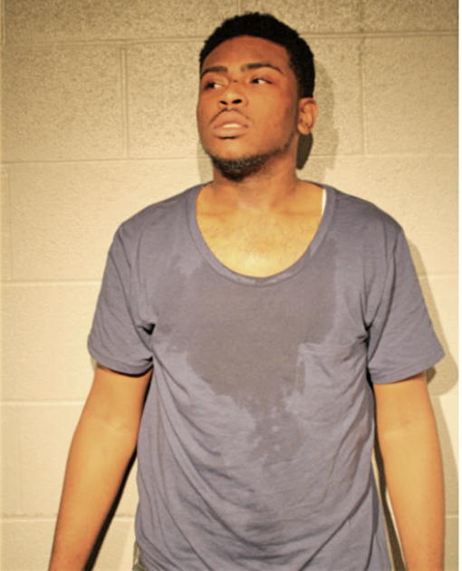 BRANDON S WILLIAMS, Cook County, Illinois