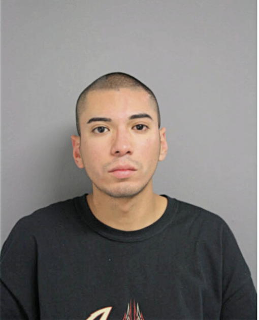 ANTHONY J ARGUETA, Cook County, Illinois